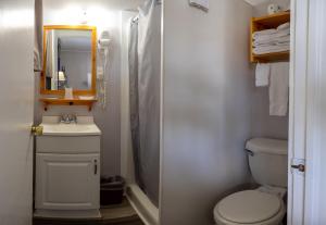 巴港Belle Isle Motel的一间带卫生间、水槽和镜子的浴室