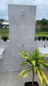 加罗帕巴Cabanas MORIÁ的一间带水槽和盆内植物的浴室