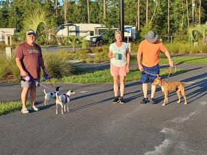 盖恩斯维尔Santa Fe Palms RV Resort的三人在街上走三只狗