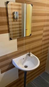 金马仑高原Cameron Highlands Blueberry Earth House的浴室设有白色水槽和镜子