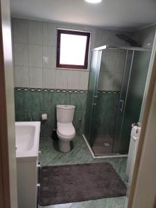 StalinAlbanian Gem in Kuçovë的浴室配有卫生间、淋浴和盥洗盆。