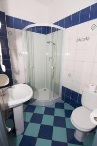 斯克拉斯卡波伦巴Willa Nova - Centrum的带淋浴、卫生间和盥洗盆的浴室