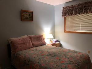 Iron BridgeCliff’s Place的一间卧室配有床、灯和窗户