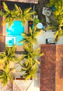 阿尔特杜尚Pousada Tupaiú的建筑前棕榈树的空中景观