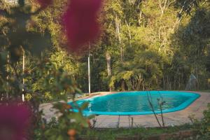 本图贡萨尔维斯Sítio Vale dos Vinhedos的森林中央的游泳池