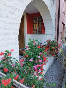 克卢日-纳波卡Casa cu Flori的窗户前有鲜花的建筑