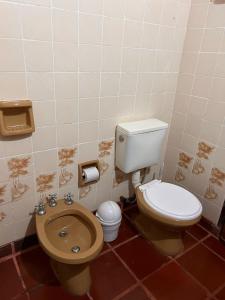 伊瓜苏港Mainumby- Colibri Posada的一间带卫生间和坐浴盆的浴室