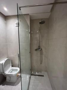 马拉喀什Appart prestige de luxe的带淋浴和卫生间的浴室