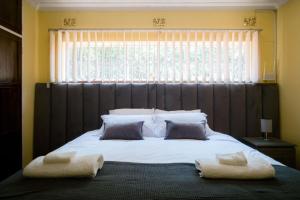 哈拉雷Hillview Holiday Condo的一间卧室设有一张大床和大窗户