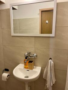 海法Ramban Emerald的一间带水槽和镜子的浴室
