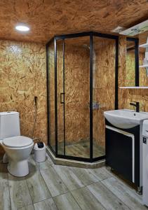 TsalkaDaxvalley Glamping的带淋浴、卫生间和盥洗盆的浴室