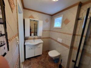 卑尔根Nesttunveien appartments的一间带卫生间和水槽的小浴室