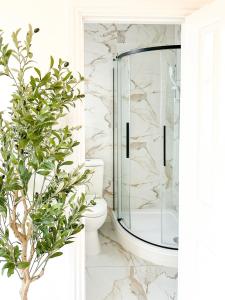 莱斯特FOSSE LUXURY ROOMS的一间带玻璃淋浴和卫生间的浴室