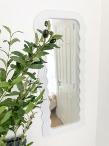 莱斯特FOSSE LUXURY ROOMS的墙上的镜子,前面有植物