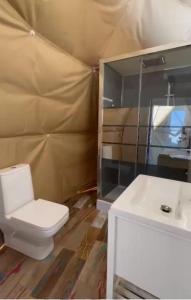 图尔达Caravans Park & GLAMPING TENTS in the Vineyard的一间带卫生间和水槽的浴室