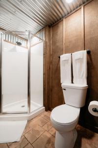 布兰森Cozy Unique Glamping on 53 acres - Bedrock Site的一间带卫生间和淋浴的浴室