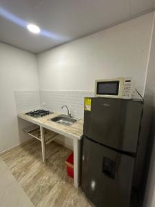 普罗维登西亚Three Cay Suites的一间带冰箱和水槽的小厨房