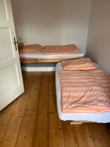 顺佩尔克TENNIS LIFE ŠUMPERK的铺有木地板的客房内设有两张双层床。