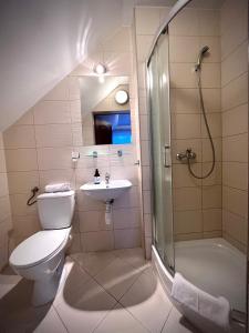 弗热希尼亚隆多宾馆的浴室配有卫生间、淋浴和盥洗盆。