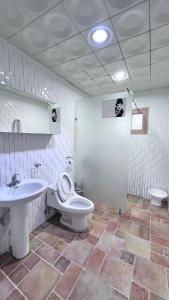 HongseongYesan Sarang Pension的一间带卫生间和水槽的浴室