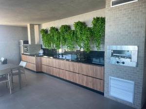 马塞约Apartamento em Ponta Verde的厨房配有墙上植物台面