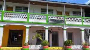 圣安德烈斯Posada Nativa Trinsan Centro的白色绿色装饰和盆栽的建筑