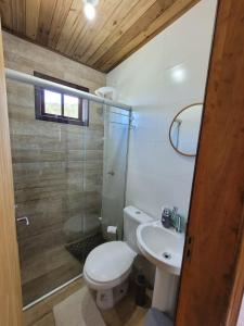 邦雅尔丁-达塞拉Chalés Altos Da Montanha- Everest的浴室配有卫生间、盥洗盆和淋浴。