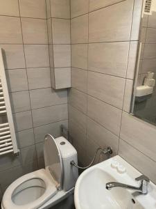 东蒂罗尔地区马特赖Gasthof Lublass的一间带卫生间和水槽的小浴室