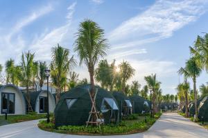 潘切Wonderland Resort Phan Thiet的一排种满棕榈树的绿色圆顶
