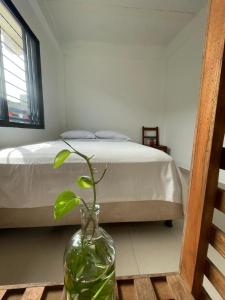 圣玛尔塔La Casa de Ian的一间卧室,卧室里配有床和花瓶,里面装有植物