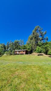 Cabañas Cerro Colorado Lago Colbún外面的花园