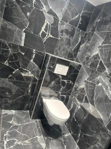 热克斯Hôtel Gex的黑色大理石浴室设有卫生间