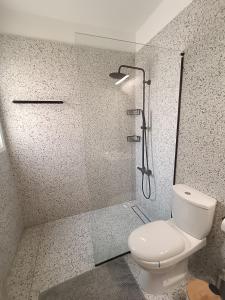 尼科西亚Two Bedroom Condo - Just Renovated Great Location的带淋浴和卫生间的浴室。