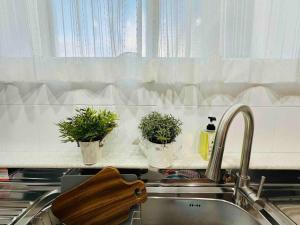 首尔STAY ROCK 樂 2 Room 3 Beds 3 min from Ewha Univ stn的两个盆栽植物坐在一个水槽旁边的柜台上