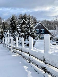 GarczChata na Zielonym Wzgórzu的房屋前有雪覆盖的栅栏