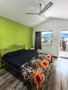 阿姆波尔Nature of Arambol的一间设有床铺的卧室,位于一个拥有绿色墙壁的房间
