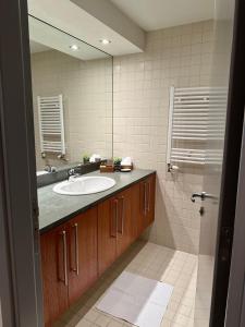 波罗维茨Lodge Euphoria Studio的一间带水槽和镜子的浴室