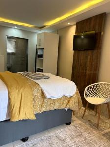 恩潘盖尼Le Rosette Residence的一间卧室配有一张床、电视和椅子