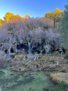 CañizaresLA COLMENA的山边的瀑布,有树