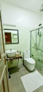 达拉万度Turtle Inn Dharavandhoo的一间带卫生间和水槽的浴室