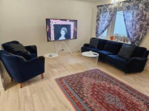 KäglingeUnic House feeling calmness in Malmo city的客厅配有两张沙发和地毯。
