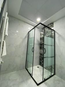 开塞利X Premium的浴室里设有玻璃门淋浴