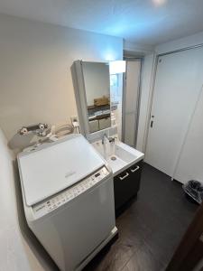 东京NIYS apartments 37 type的一间带水槽和镜子的浴室