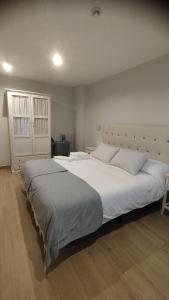 阿尔克萨尔Hotel Vinoteca Alquezar - Adults Only -的一间卧室配有一张带白色床单的大床