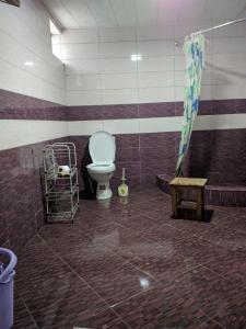 第比利斯HELLO HOSTEL的一间带卫生间、淋浴和长凳的浴室
