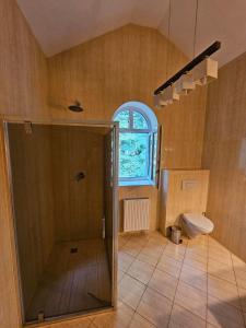 切申Kasztanowy Dwór的带淋浴和卫生间的浴室以及窗户。