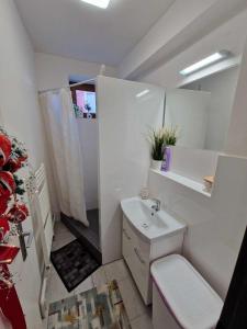 鲁容贝罗克DáMa的一间带卫生间和水槽的小浴室