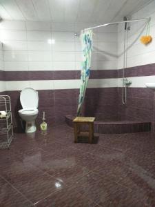第比利斯HELLO HOSTEL的带淋浴、卫生间和盥洗盆的浴室