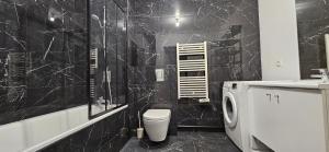 贝宗Cosy'part Gold.的黑色大理石浴室设有卫生间和水槽