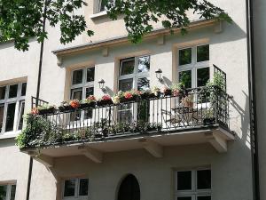 克拉科夫Botaniczny Pokój的一座带鲜花阳台的建筑